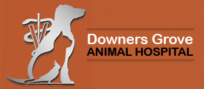 Downers Grove Animal Hospital & Dog Clinic